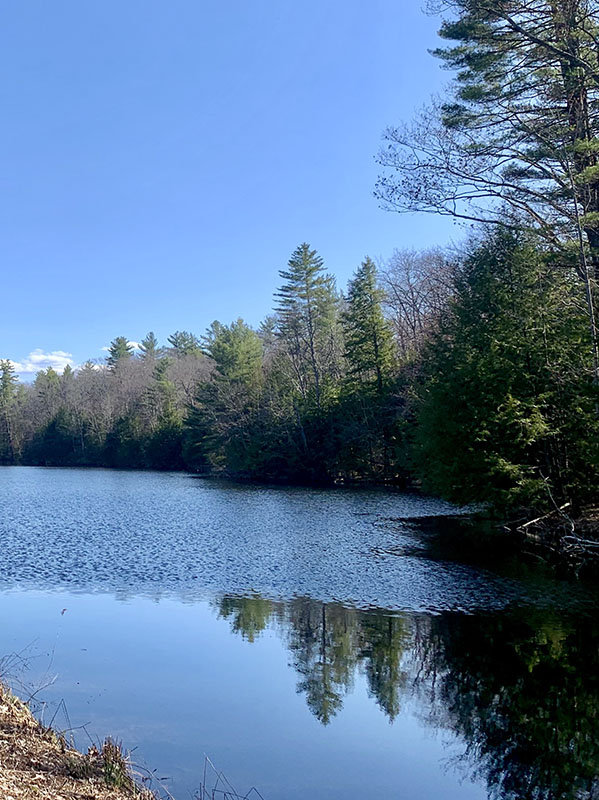 Ripples on a lake